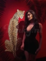 charlotte-escort-via-kinky-699166ac49fd9900138e5379