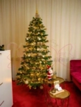 sugar-&-ecstacy-privehuis-in-rotterdam-6911d0a82ae1c7001222fb00