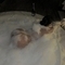 gaby-prive-ontvangst-via-kinky-66fc61a451d30d0013356831
