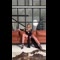 video thumb
