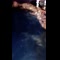 video thumb
