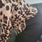 honey-prive-ontvangst-via-kinky-66321bbacb4bdb00198a6d30