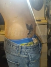 max-prive-ontvangst-via-kinky-663a8e9c67b2bd001afe9bd4