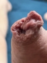 martin-escort-via-kinky-6833258d3cd0cf00131c8d3a