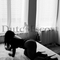 angelina-escort-via-kinky-67bf55857eefdf0013ae7830