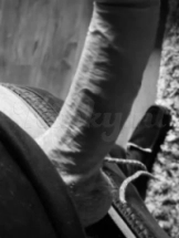 jay-prive-ontvangst-via-kinky-66e8266192449c00139c776e