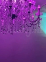 regênt-privehuis-in-den-haag-68c18a31f6c6eb0013e5cd77