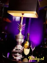 villa-weizigt-club-in-dordrecht-5cf6a809194a8d3917267518