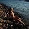 anna-prive-ontvangst-via-kinky-68bb118a1f33c500124cb97f