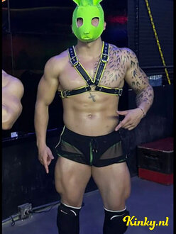 steven-prive-ontvangst-via-kinky-6890b4f36f455c0013d0a4d8