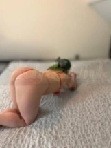 linda-escort-via-kinky-698f620c2eb0a20014f2cffb