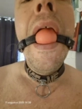 bas-prive-ontvangst-via-kinky-68d9ac646414c600131a51b5