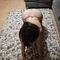 dahiana-prive-ontvangst-via-kinky-68daef9a55988d001330ec5f
