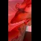 video thumb