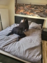 alexandra-prive-ontvangst-via-kinky-69bcf7885c2710001304b20e