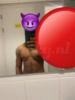 dominic-prive-ontvangst-via-kinky-698f16cf5b80fb0013beb843