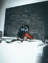 sandra-prive-ontvangst-via-kinky-69db3540e2949b0013f32da8