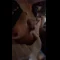 video thumb