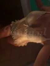 isabella-prive-ontvangst-via-kinky-69cc1fd94a2e020013916e26