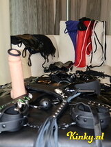 adriana-prive-ontvangst-via-kinky-673516ee4b67a2001353197f