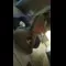 video thumb