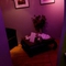 massagesalon-lelystad-massagesalon-in-lelystad-5cf6822c57f1d15b4b226685
