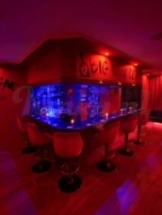 club-elite-club-in-alkmaar-63ae052d6c956900123645db