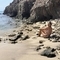 girasol-prive-ontvangst-via-kinky-67f83c91b04b8d00132d5bd6