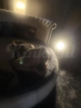 soraya-erotische-massage-via-kinky-686fccfc3cd0cf00131cf33b