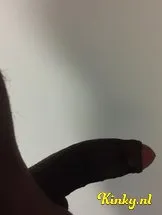 saniya-ts-prive-ontvangst-via-kinky-5cf66b00c1d5842cef74e2fa