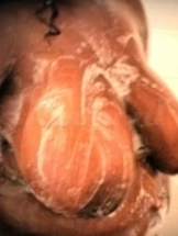 bianca-escort-via-kinky-5cf6652e65526ca3dd02e219