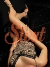 bentley-prive-ontvangst-via-kinky-6949257b6a3d24001383c887