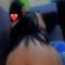 dina-prive-ontvangst-via-kinky-68dab7ae034a850013eaa17e