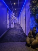 salon-temptation-massagesalon-in-deventer-6643cfc76ea215001a8b2237