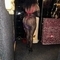 jadedior-prive-ontvangst-via-kinky-651fe0ab87d6e0001ac69e5a