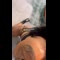 video thumb