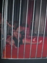 anna-prive-ontvangst-via-kinky-5cf663ed7aa54064567ba54a