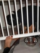 alaisha-bdsm-via-kinky-66e5bee900c41f0013336987